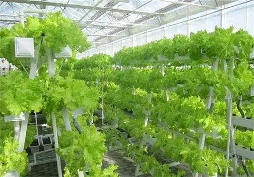 PVC Hydroponic Pipe for Greenhouse Lettuce Planting Soilless Agriculture