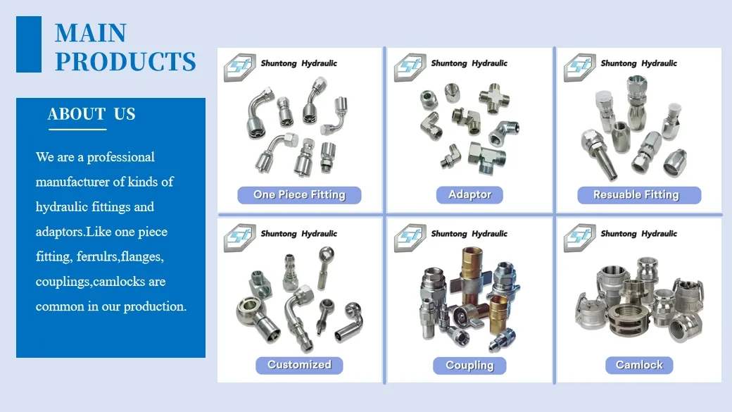 Straight Bsp Female 60° Cone Hydraulic Hose Fittings (22611/22612)