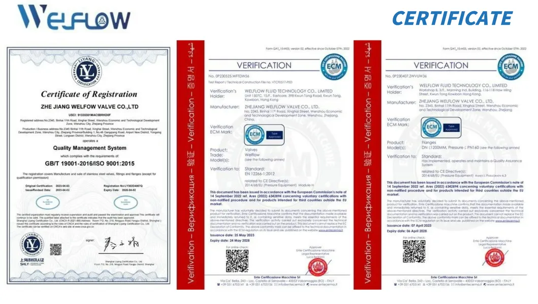 Premium Stainless Steel Equal Thread Fitting for Water Tanks