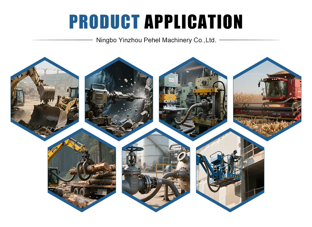 Factory Customized Metric Longer Banjo Fitting