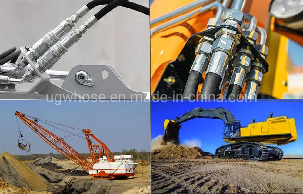 Quality Hydraulic Hose and Fittings 11343-6-6 Male Jic Bsp Ferrule Quick Couplings