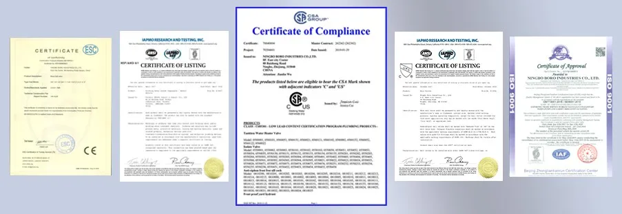 Pipe Fitting PPR Crooked Pipe