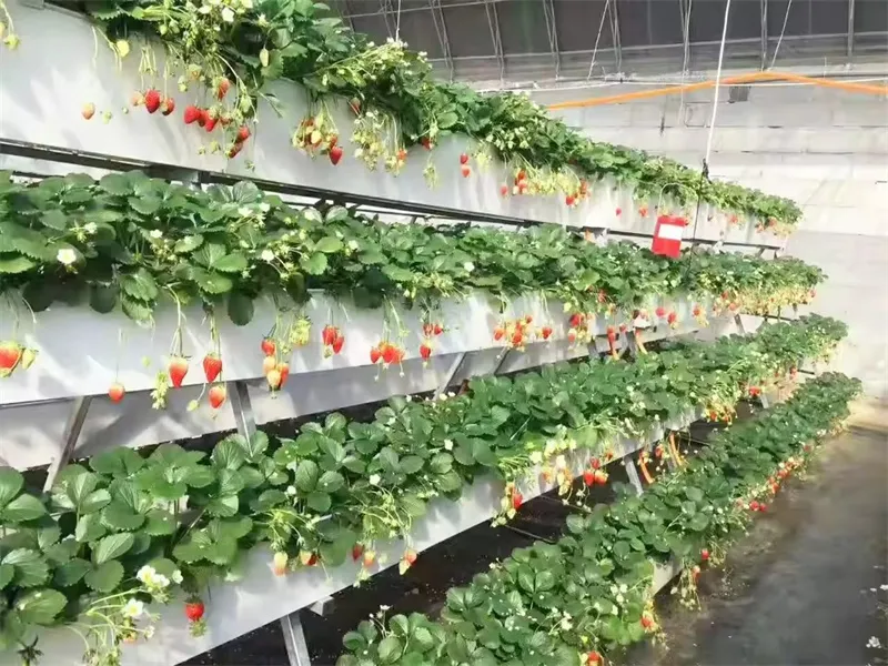 Hydroponic 6 Inch Diameter PVC Pipe Strawberry Planting Gutters Nft Hydroponic Pipe