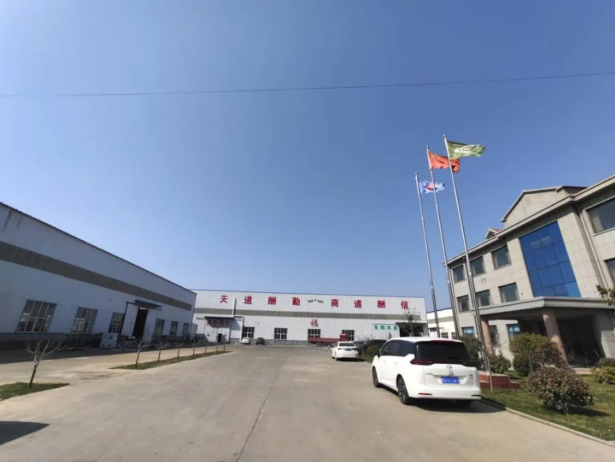 PVC/UPVC Conduit Pipe Electric Cable Wire Protection Pipe