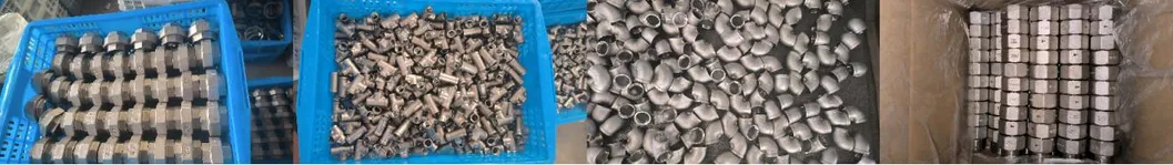 Premium Stainless Steel Equal Thread Fitting for Water Tanks