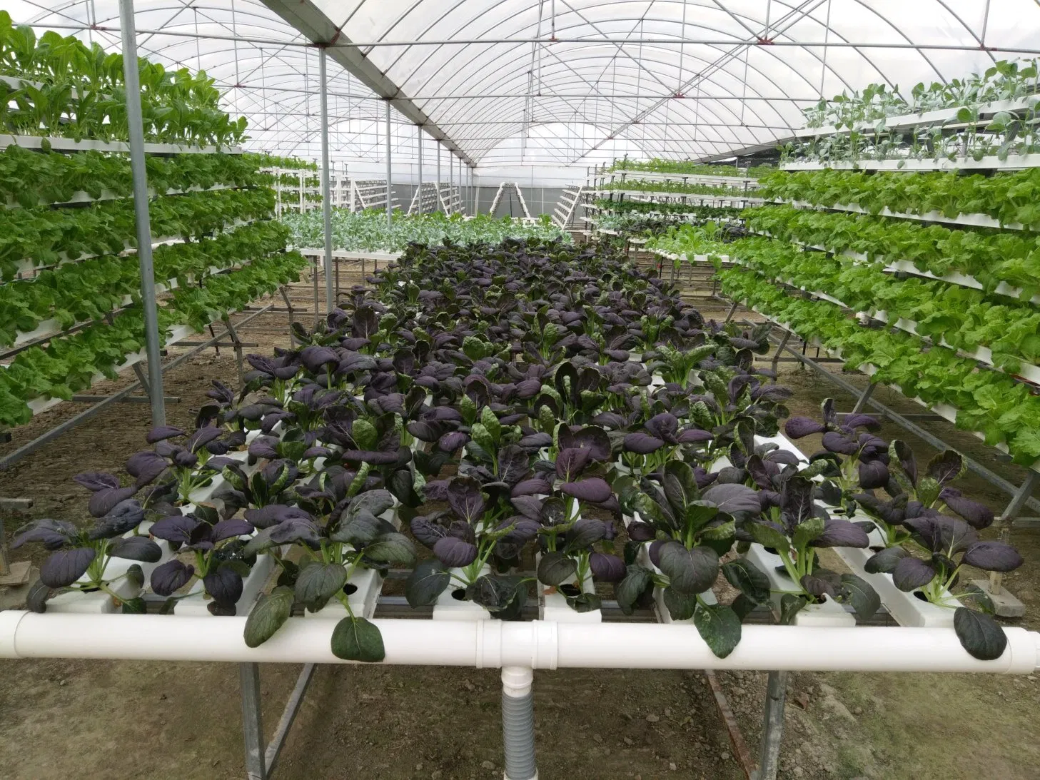 Nft Hydroponic Channel Growing Plants Flowers Vegetables Fruits Strawberry PVC Plastic Pipe Factory 