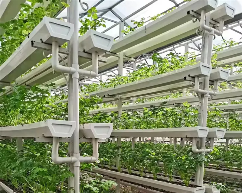 Hydroponic 6 Inch Diameter PVC Pipe Strawberry Planting Gutters Nft Hydroponic Pipe