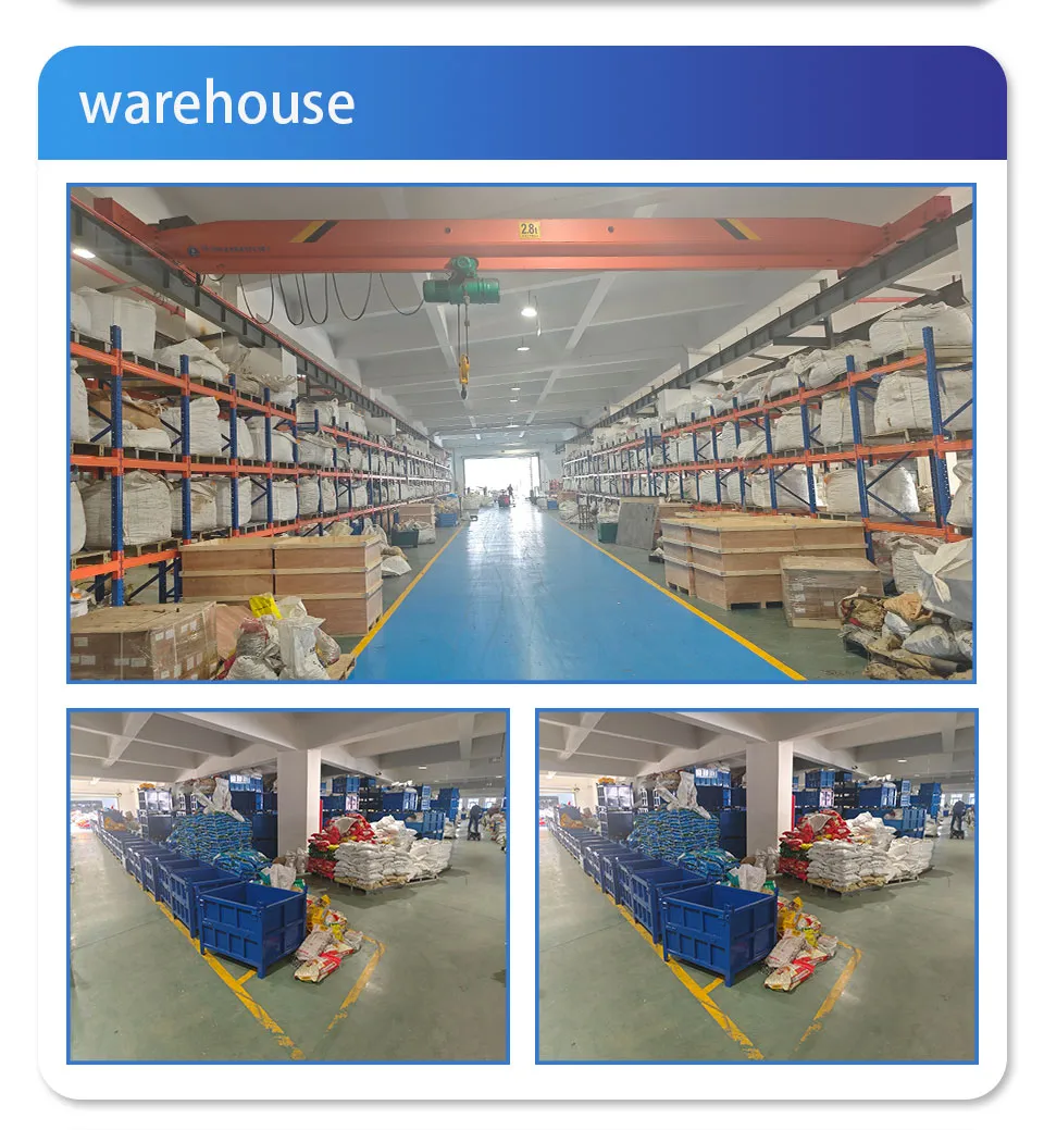 Stainless Steel Elbow Fittings for Water System Threaded Connections