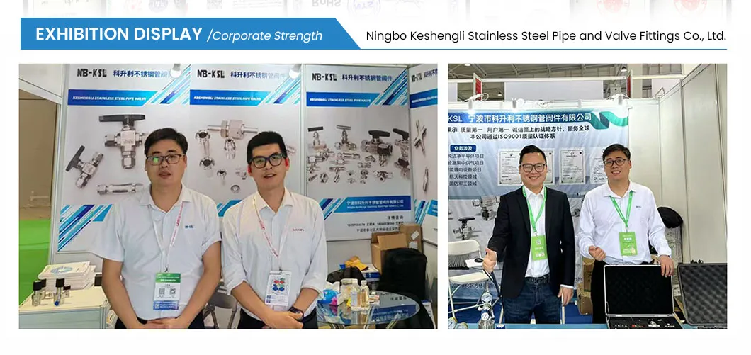 China Manufacturing Stainless Steel 316L Male Thread Hex Nipple Fittings