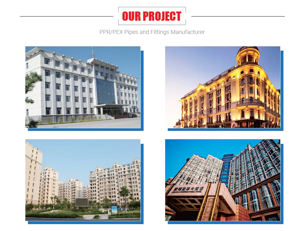 Best PPR Pipes in China with CE Certification Manufacture Water Heating Plumbing