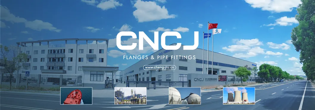 SUS304 316 Stainless Steel Butt-Weld Fittings 90 Degree Seamless Elbow