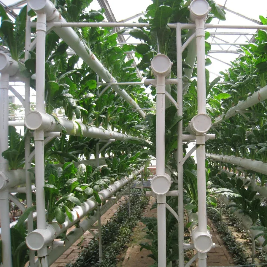 PVC Hydroponic Pipe for Greenhouse Lettuce Planting Soilless Agriculture