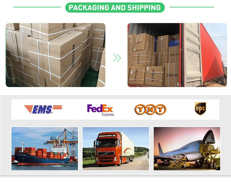 Stainless Steel Wire Braided PTFE Hydraulic Hose, Hydraulic PTFE Pipe