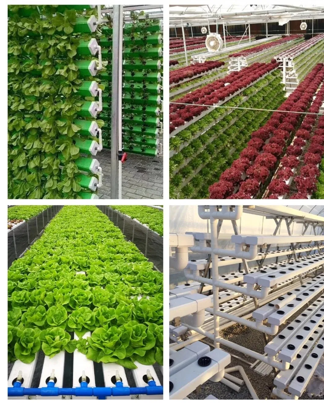 PVC Hydroponic Pipe for Greenhouse Lettuce Planting Soilless Agriculture