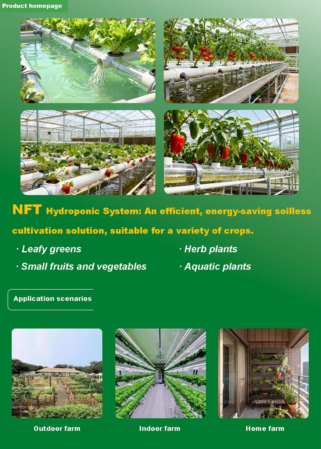 Lightweight Nft Hydroponics PVC Pipes for Quick Installation in Farming Greenhouse