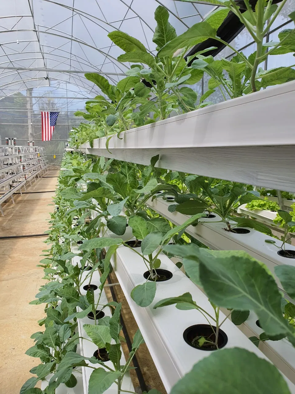 Square Hydroponic PVC Pipe for Nft Growing System