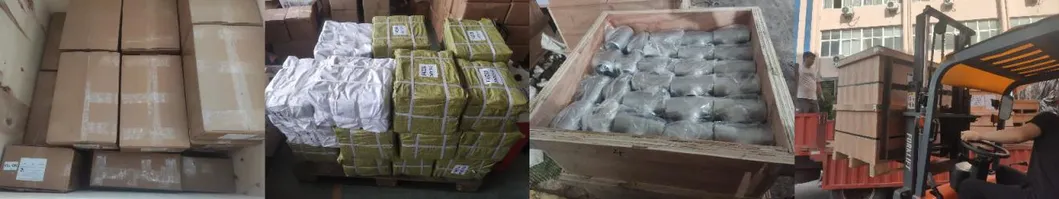 Premium Stainless Steel Equal Thread Fitting for Water Tanks