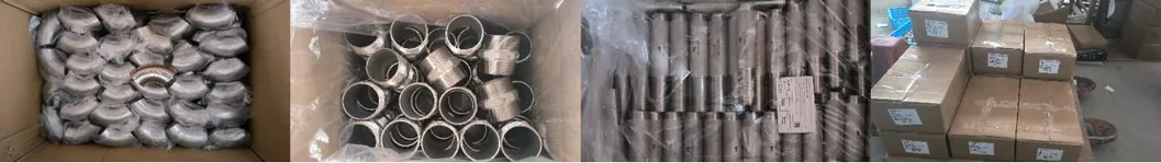 Premium Stainless Steel Equal Thread Fitting for Water Tanks