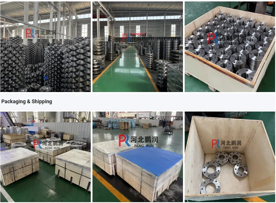 Factory Supply Sch 40 Steel Pipe Butt Weld Fitting Ss Long Radius 45 90 Degree Elbow