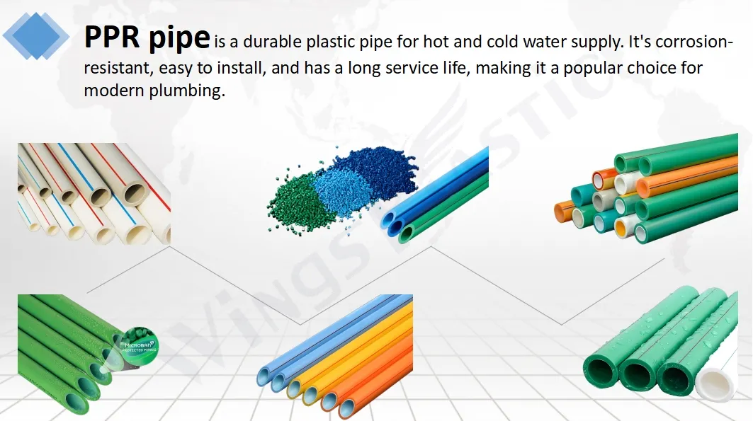 Plastic Pipe Extrusion Line Price HDPE PP PVC Nylon Pipe Hose Tube Making Machinery Factory
