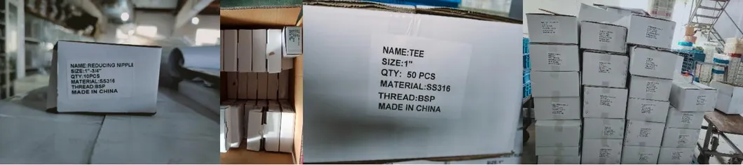 Premium Stainless Steel Equal Thread Fitting for Water Tanks