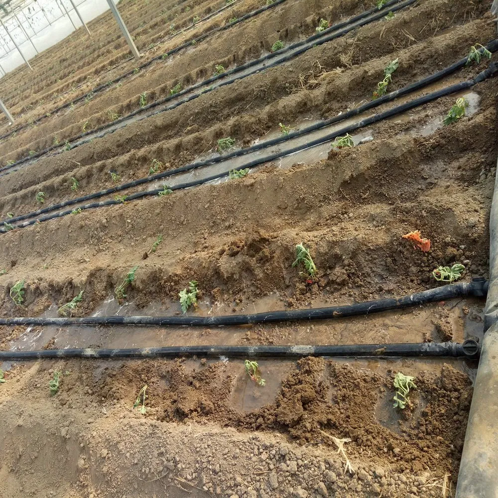 PE/PP/HDPE/PVC Drip & Spray Irrigation Pipe Equipment for Agricultural