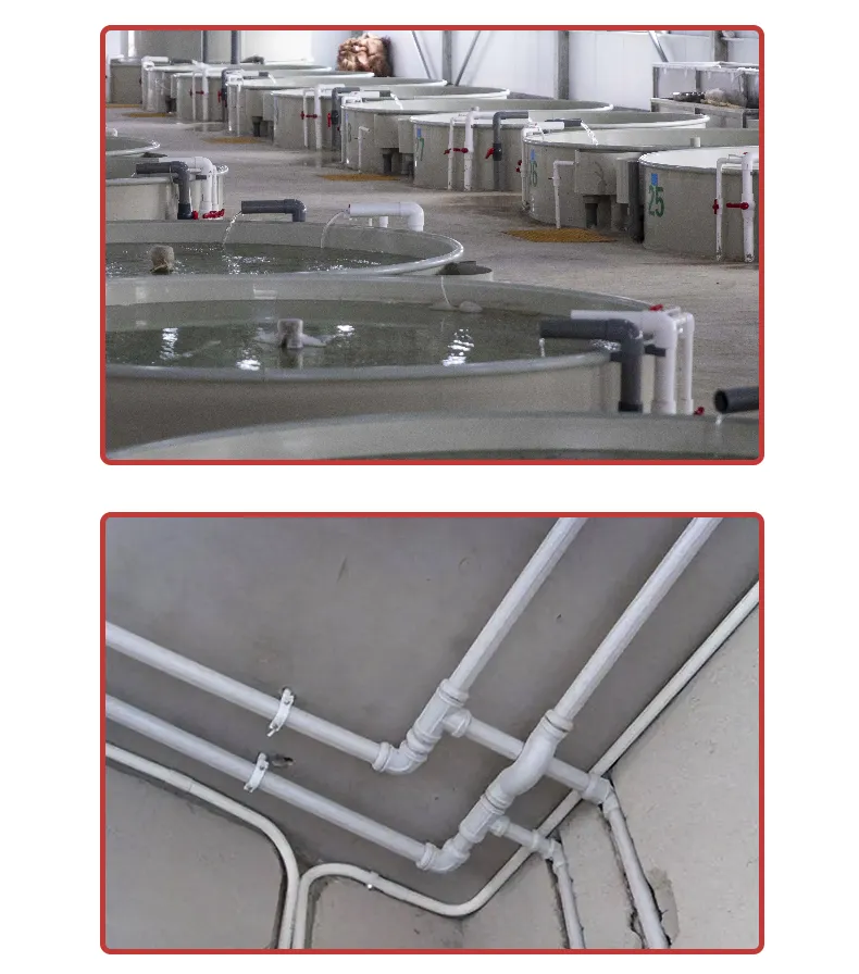 PVC Plastic Pipe DN20 DN25 DN32 UPVC Pipe Fitting Elbow Tee for Home Plumbing System