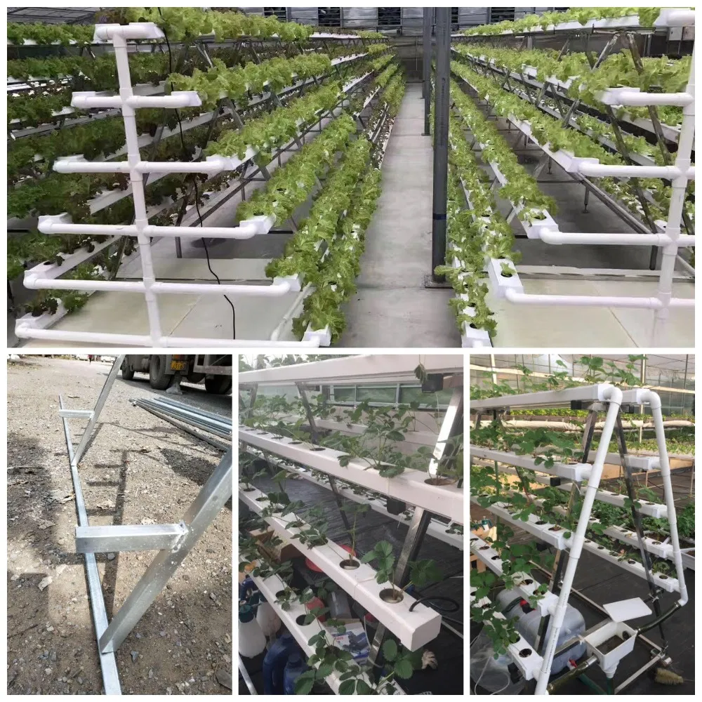 PVC Nft Channel Pipe Vertical a Type Growing Lettuce Leaf Vegetable
