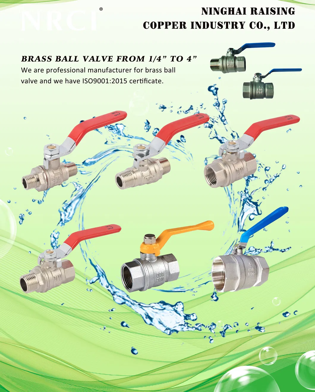 Brass Forged Fittings with Barb for Water Pipe