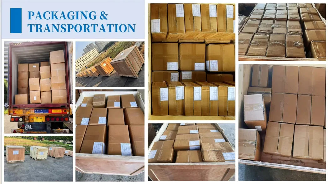 Bsp Female Double Hex Hydraulic One-Piece Fitting (22611DP-B/22612DP-B)