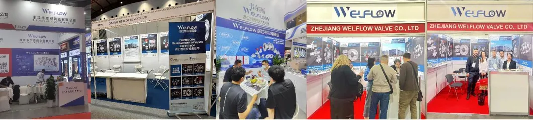 Premium Stainless Steel Equal Thread Fitting for Water Tanks