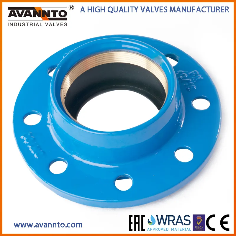 Factory Manufacturer Flange Adaptor (Quick adaptor) for U-PVC and PE Pipes