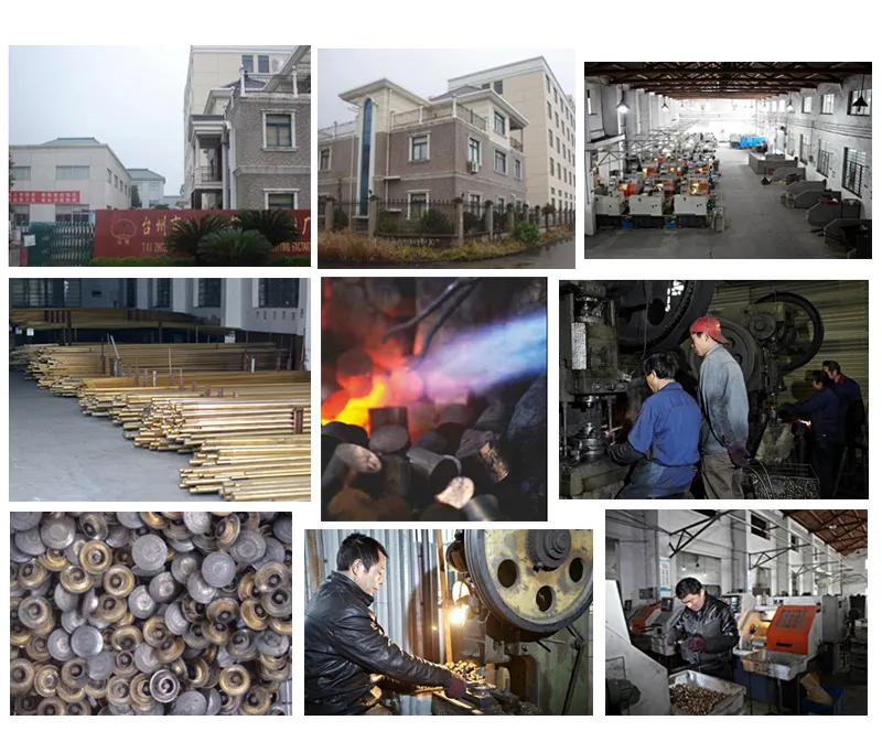 ABS Flexible Pipe with Chrome Plated Surface