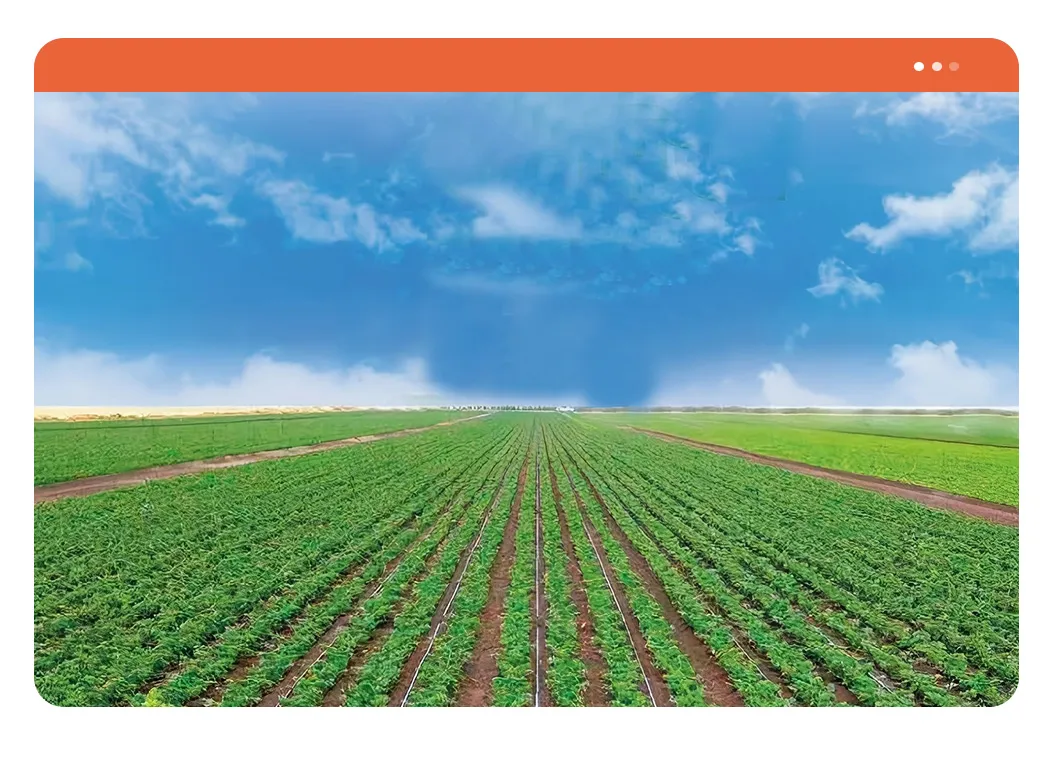 Inlaid Strips Drip Irrigation Pipe Exstrusion Line/PVC HDPE PPR Corrugated Jacket Pipe Hose Tube Plastic Machinery