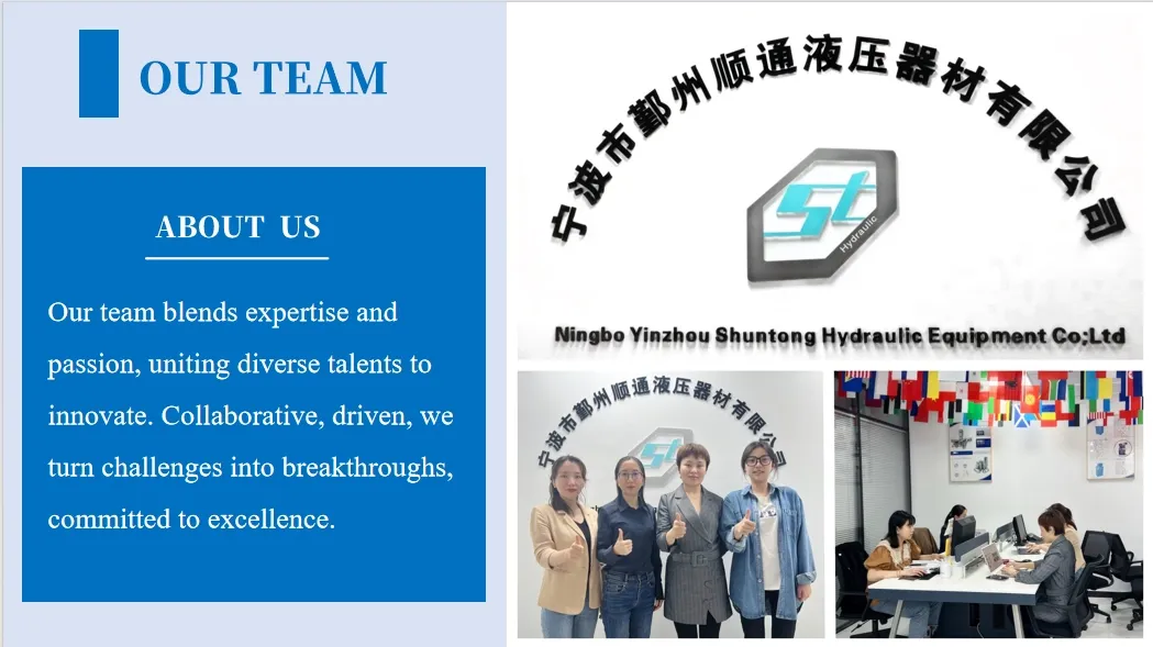 Bsp Female Double Hex Hydraulic One-Piece Fitting (22611DP-B/22612DP-B)