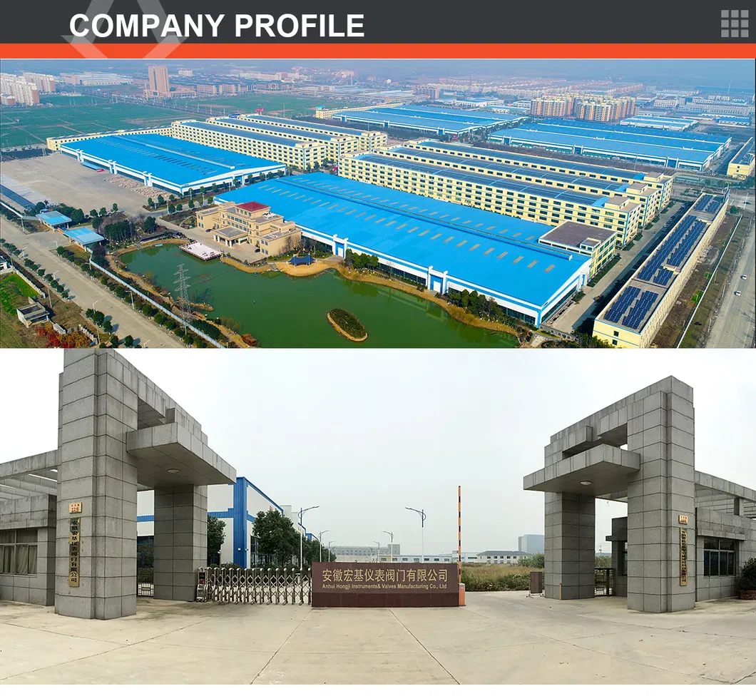 NPT/Bsp Male Connector Tube Fitting Stainless Steel Double Ferrule Compression Straight Connector