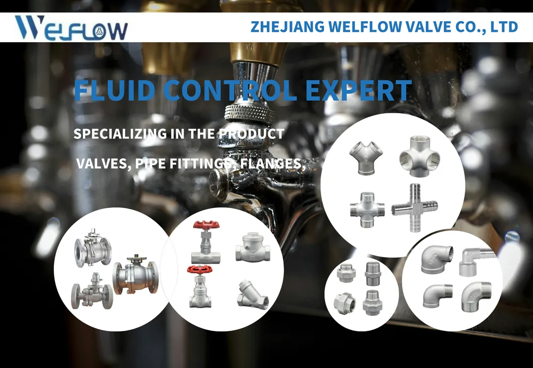 Premium Stainless Steel Equal Thread Fitting for Water Tanks