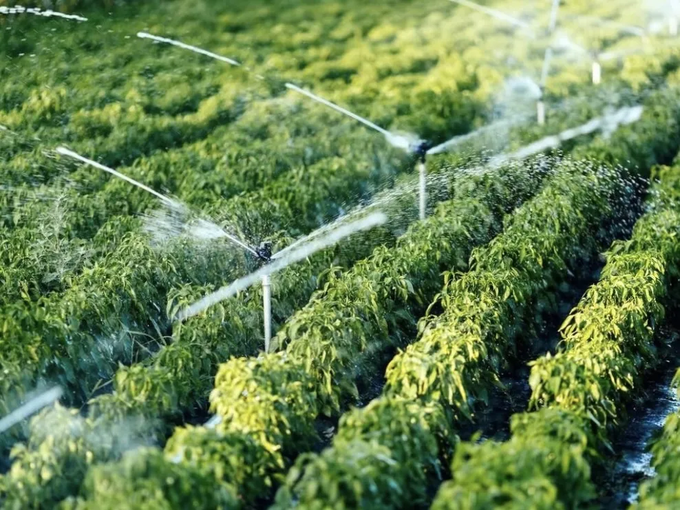 Drip Fittings Irrigation System Pipe Fitting for Tape Fitting Connectors Valve