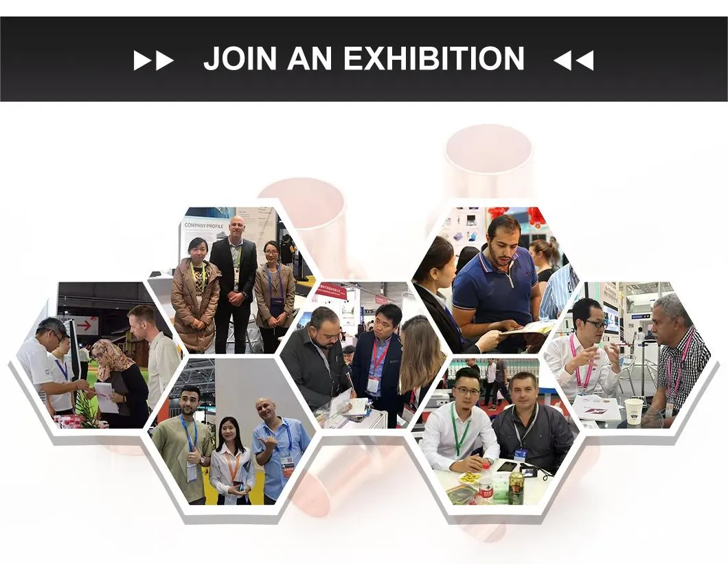 Lead-Free Brass Pex Fitting Tee Elobw Reducer Coupling Adapter Pipe Fitting Plastic Plumbing Material