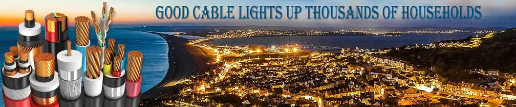 Gyfxtby FTTH 1-24 Core Flat Single-Tube Dielectric Aerial Cable