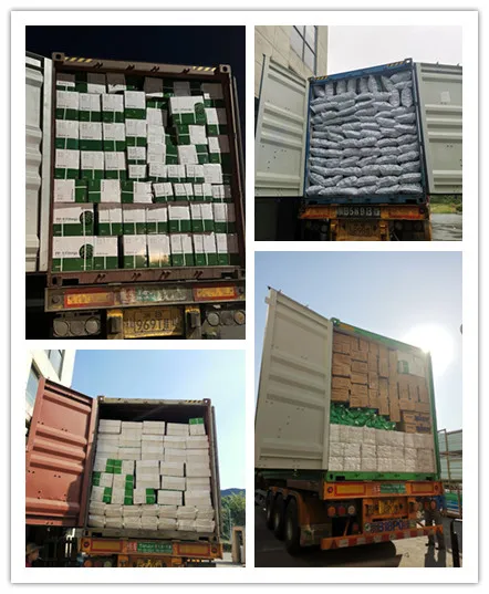 Mingchi PPR Pipe Hot and Cold Water System Plumbing Pipe 50years Quality Assurance