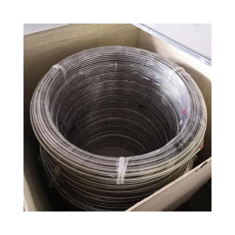 Ss 304 316L Stainless Steel Seamless Coiled Tube/Tubing