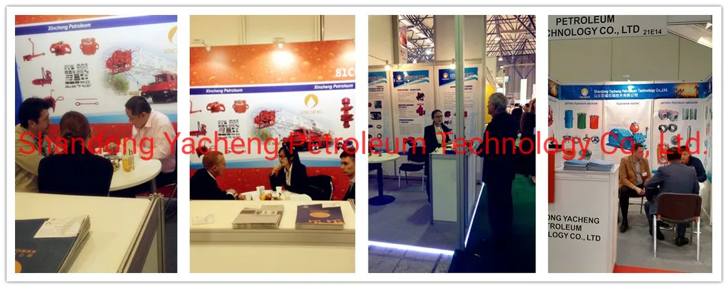 Oilfield Coiled Tubing Tools Service Tools Pressure Test Tension Disc