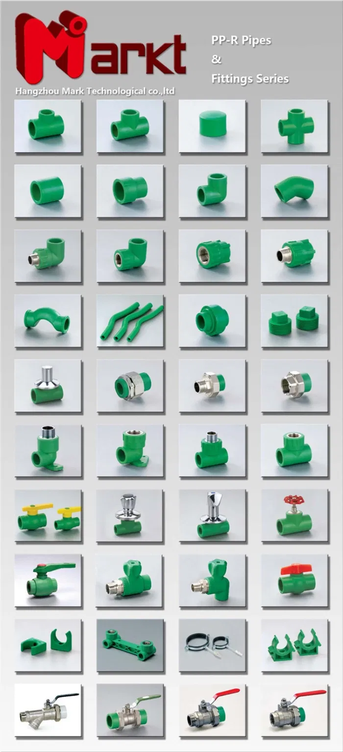 PPR Pipe and Fitting PPR Tube Polypropylene PPR Hose Pipes