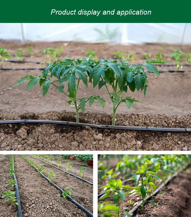 Water Irrigation PE Hose Drip Irrigation System Drip Tape/Tube/Pipe for Agriculture Irrigation