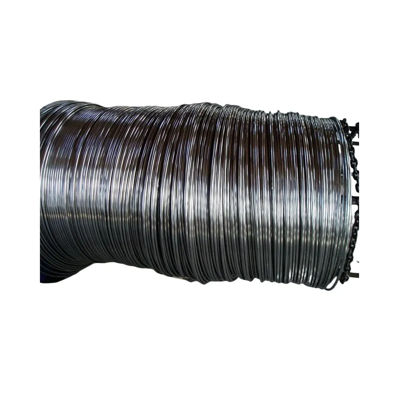 Ss 304 316L Stainless Steel Seamless Coiled Tube/Tubing
