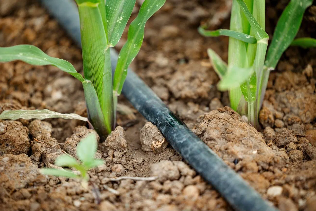 Irrigation Plastic Tubing to Automatic Water Irrigation Equipment 16 20mm Drip Line Hose LDPE