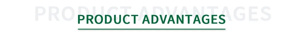 Reliable Quality Corrosion Resistant PE100 Pipe for Reliable, Long-Lasting Water Transport