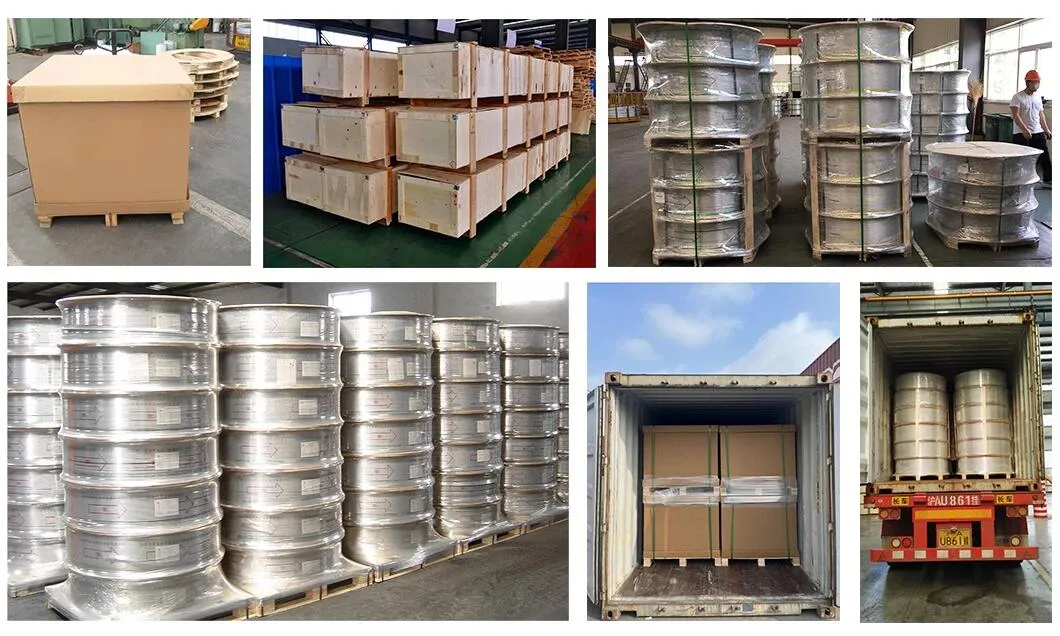 ASTM C11000 High Pruty Copper Cathode Coil/ Strip, C11020/ C11030/ C11100/ C11300/ C11400/ C11500/ C11600 Pure Red Copper Coil/ Pipe/ Copper Coiled Tubing/Strip