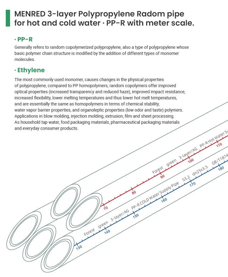 Menred Plumbing System Polypropylene Pipes with Meter Scale 3 Layers Max Support Use of 50 Years